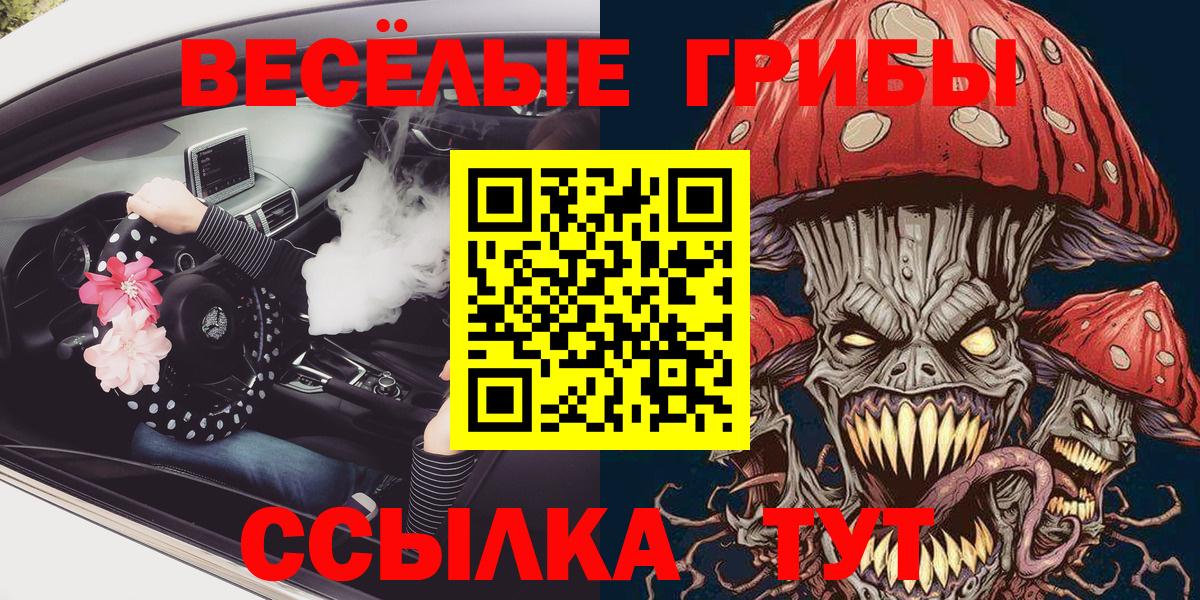 Псилоцибиновые грибы Psilocybine cubensis Клинцы